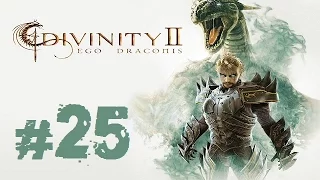 Прохождение Divinity II: Ego Draconis - Часть 25 (Больше опыта)