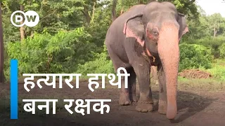 21 लोगों को मारने वाला हाथी कैसे बदल गया [India's born-again elephants repel four-legged rampages]