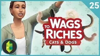Wags to Riches - Part 25 (Sims 4 Cats & Dogs)