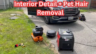 Mobile Interior Detail and Pet hair Removal