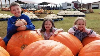 Halloween Pumpkin Patch Adventure Video for Kids Family Friendly Videos by Kinder Playtime