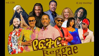 DJ Jop 134_The Greatest Ethiopian Reggae Music Mix : 90s Vibe  best ethiopian music video mix 2024