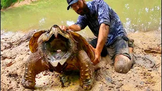 DON'T SWIM in this CITY CREEK!!! (INSANE)