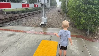 Train Crossing Malfunctions right before train comes! 😅 Train in the Rain