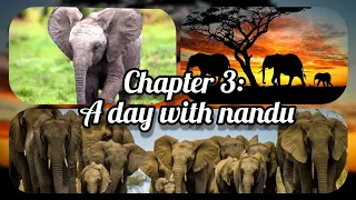 Class 4, EVS - Chapter 3: A day with Nandu.
