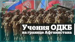 Страны-члены ОДКБ начали сразу три военных учения у границы Афганистана