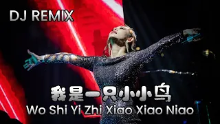 Wo Shi Yi Zhi Xiao Xiao Niao 我是一只小小鸟 DJ REMIX !! Helen Huang LIVE - Lagu Mandarin Lirik Terjemahan