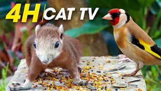 4 Hour Video To Help Cats Relax - Relaxing TV For Cats - Videos For Cats To Watch