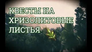 Все квесты Камасильвии на хризолитовые листья/Kamasylvia daily quest.