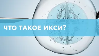 Процедура ИКСИ - что это?