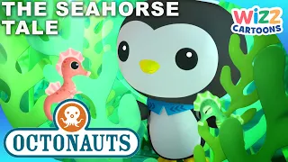 ​@Octonauts - The Seahorse Tale 🍀📕 | Series 1 | Full Episode 31 | @WizzCartoons