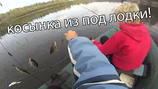 Рыбалка на косынку из под лодки! как рыбачить на косынку?