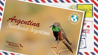 Tropical Birding Virtual Birding Tour of Argentina by Andres Vasquez