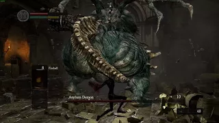 DS1 NG/Fists-Only/SL1 Asylum Demon 1st Encounter