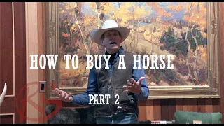 HOW TO BUY A HORSE:  Part Two