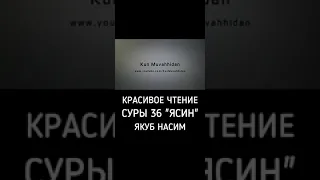 Красивое чтение суры 36 ясин