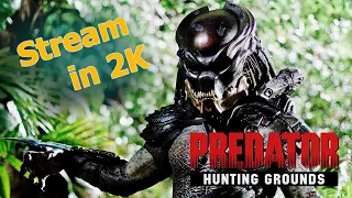 👽Patch 2.50 Game is Supporting Again. Stream in 2K.Predator Hunting Grounds Live 24.04.24 🤠🤠🤠🤠