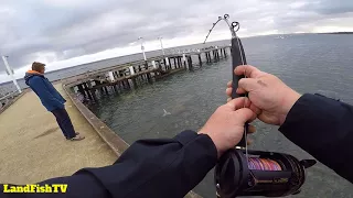 Western Port Bay Monster - Fishing