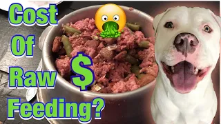 Raw Diet for Pitbulls! Pitbull transition raw food feeding!