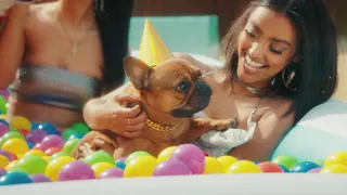 T-Pain - "It's My Dog Birthday" (Official Music Video)
