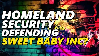 'TAKE THIS' Department of Homeland Security funded group defends Sweet Baby Inc! Gamergate 2.0?