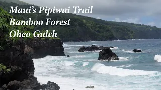 Pipiwai Trail and Oheo Gulch plus Bamboo Forest and Seven Sacred Pools