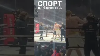 Дацик за 13 секунд отправил Александра Емельяненко в глухой нокаут🥊