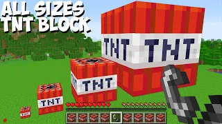 WHAT if you LIGHT TNT of ALL SIZES in Minecraft ? TINY, SMALL, NORMAL, BIG, BIGGEST TNT !