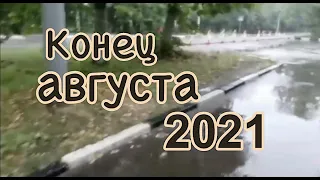 Конец августа 2021 | Сергей Темеров