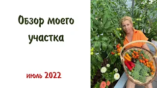 Обзор моего участка. Июль 2022