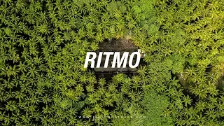 J Balvin x Dj Snake Afro Type Beat 2019 ''Ritmo'' | Eibyondatrack