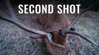 SECOND SHOT - A Wyoming Rifle Elk Hunt