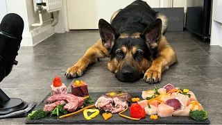 ASMR| 18 Month Old German Shepard Eating His Biologically Appropriate Raw Diet Feast |MUKBANG