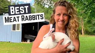 What Are The Best Meat Rabbit Breeds to Add to Your Homestead?