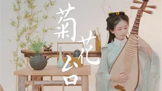 中國樂器演奏《菊花台》簡直美極了