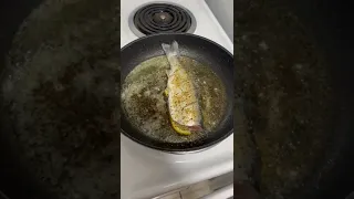 Pan Fried Trout!
