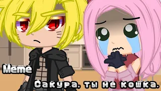 Meme • | Сакура, ты не кошка! | • {Naruto}