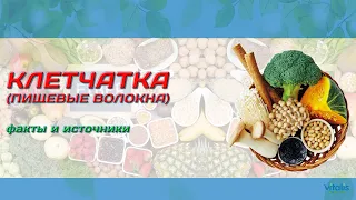 Клетчатка (пищевые волокна) - факты и источники