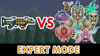 Terraria 1.4 - Coin Gun vs ALL Bosses (Expert Mode)