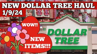 NEW DOLLAR TREE HAUL 1/9/24