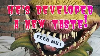 Audrey 2 Little Shop of Horrors develops a taste for brooches| Stranger things have happened!