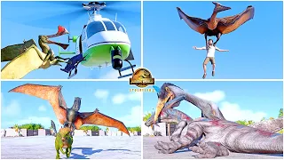 All Flying Reptiles Animations, Quetzalcoatlus, Pteranodon, Dimorphodon 🦖 Jurassic World Evolution 2