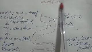 Effect of PH and Ionization on Drug Absorption...