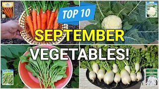 Mastering the Fall Garden: 10 Veggies You Can Plant in September!