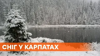 Весна не близько. Карпати кілька днів засипає снігом