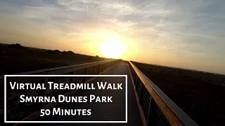 Beach Sunset Walk Smyrna Dunes Park 50 Minutes (Virtual Walk for Treadmill/Exercise Machine)