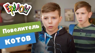 Ералаш | Повелитель котов (Выпуск №356)