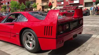 Ferrari F40 w/straight pipes start up and little acceleration!