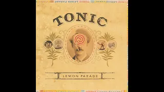 Tonic - If You Could Only See 432 Hz