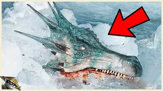 Wissenschaftler haben Beweise für die Existenz von Drachen gefunden